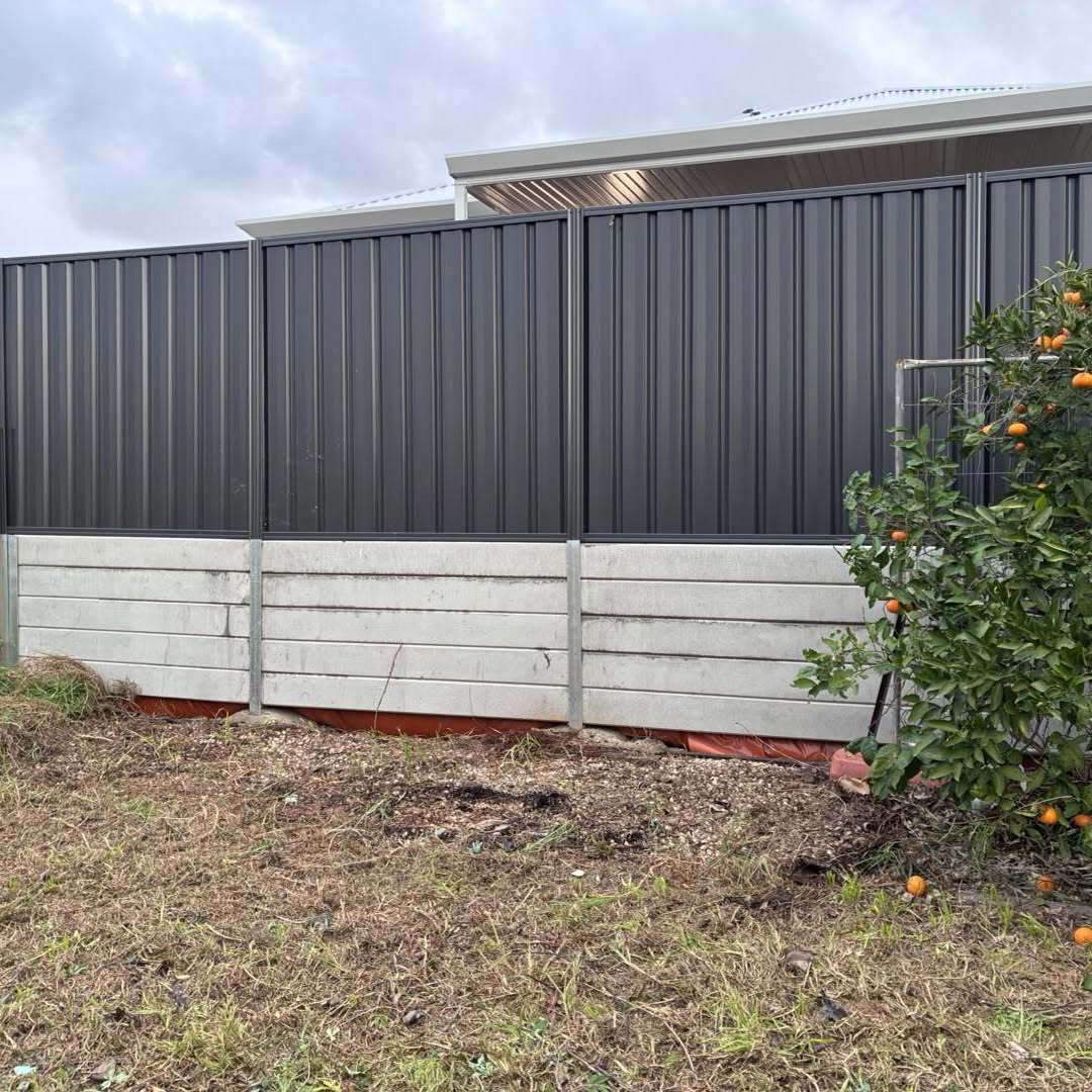 The same garden cleared back to bare ground, with the fence and orange tree visible